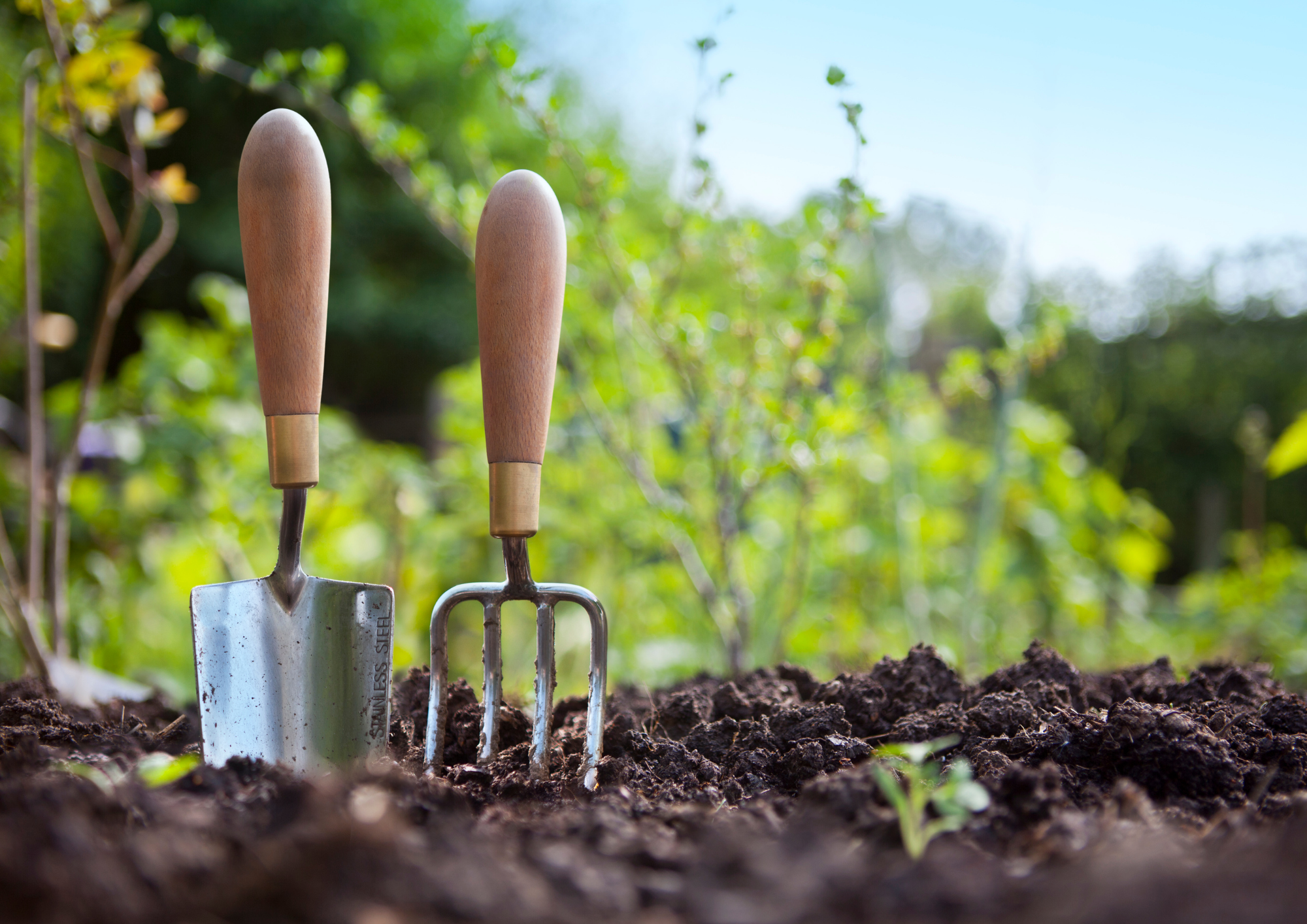 Garten Workshop