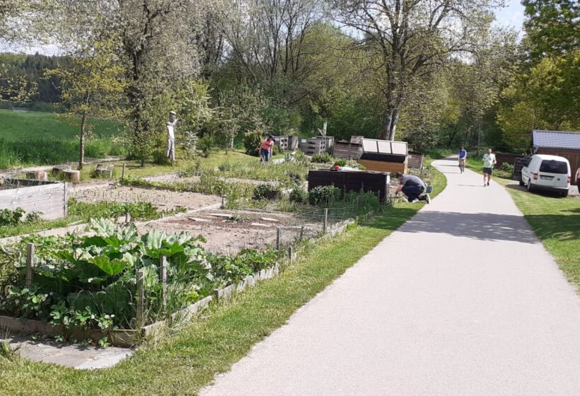 Gemeinschaftsgärten