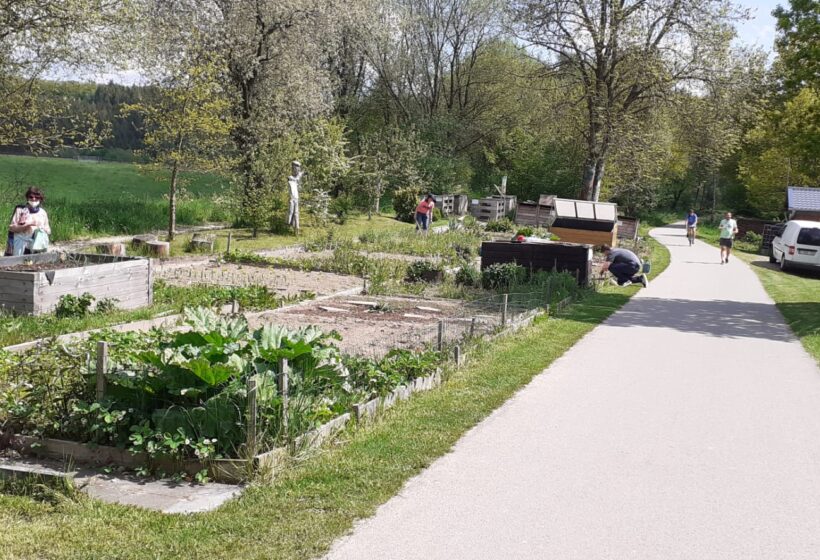 Gemeinschaftsgärten